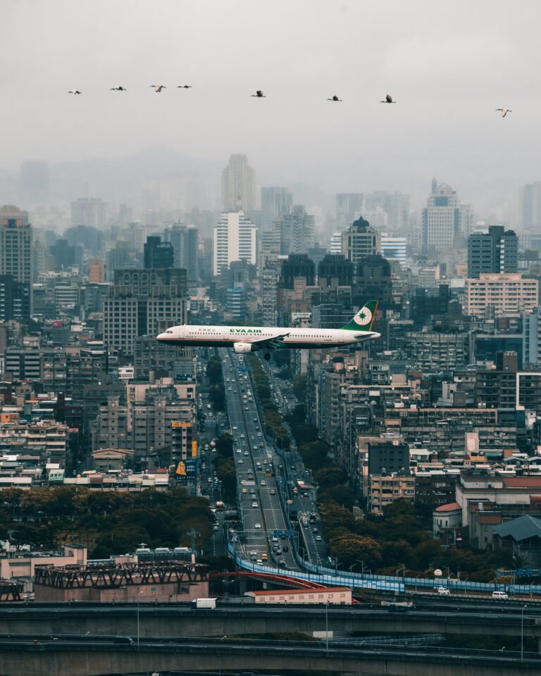 Flight Travel